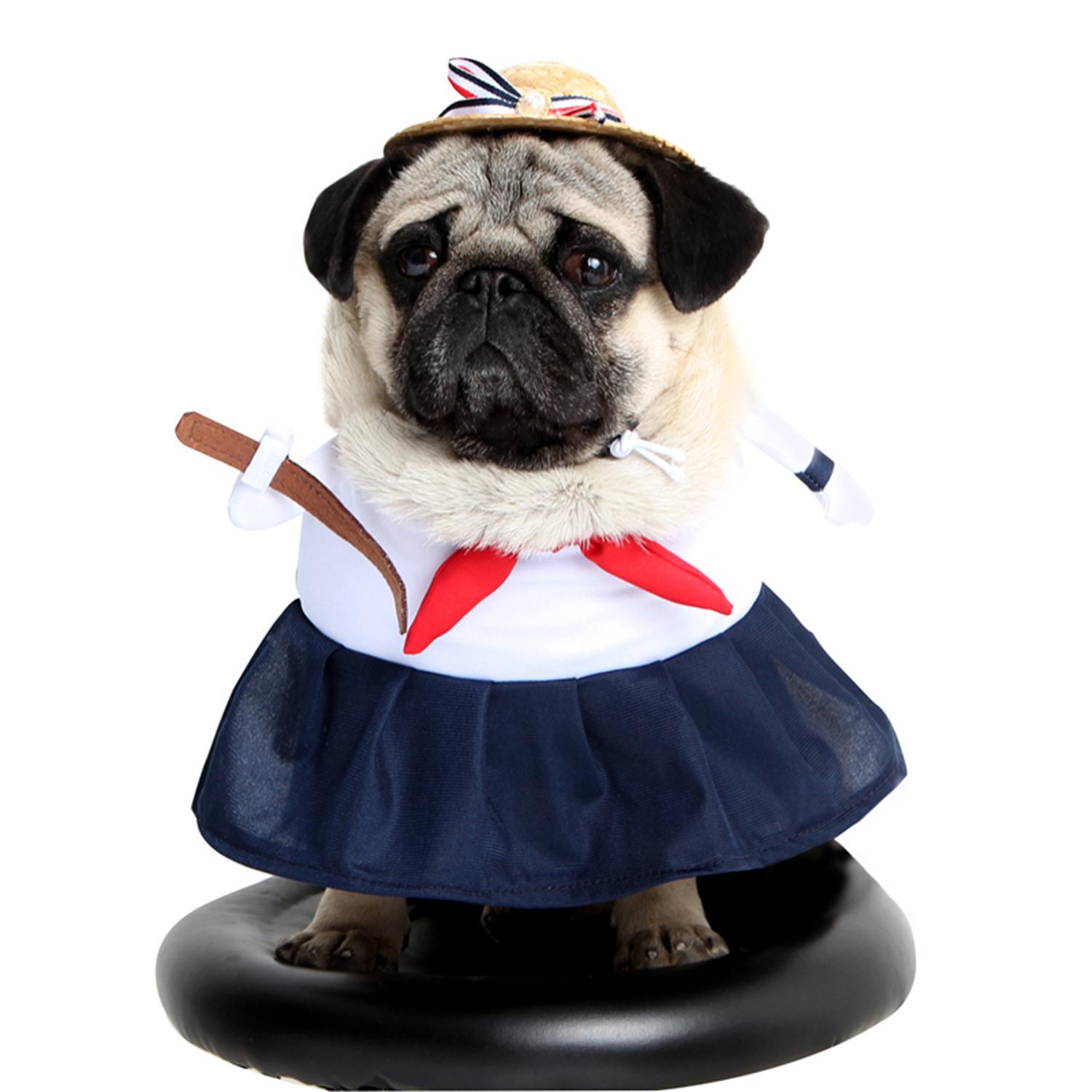 Pet Dog Costume