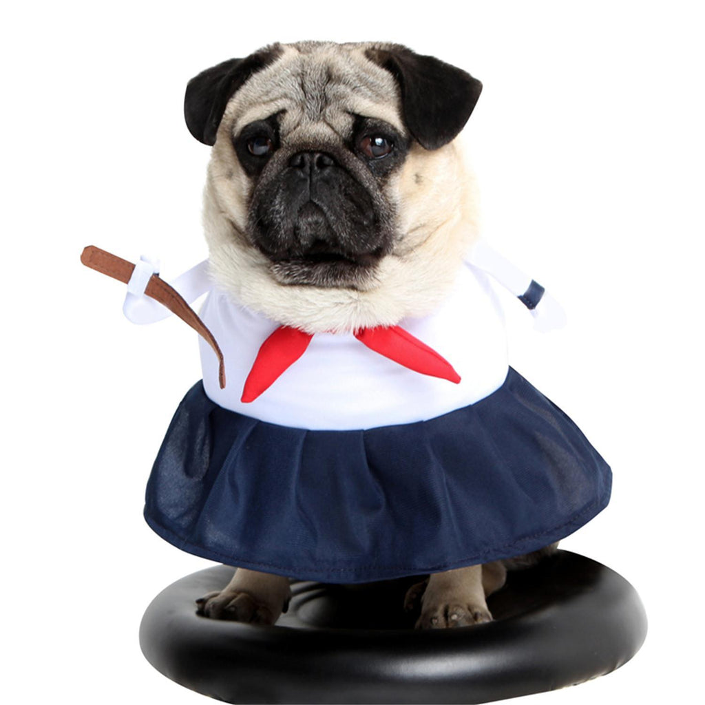 Pet Dog Costume