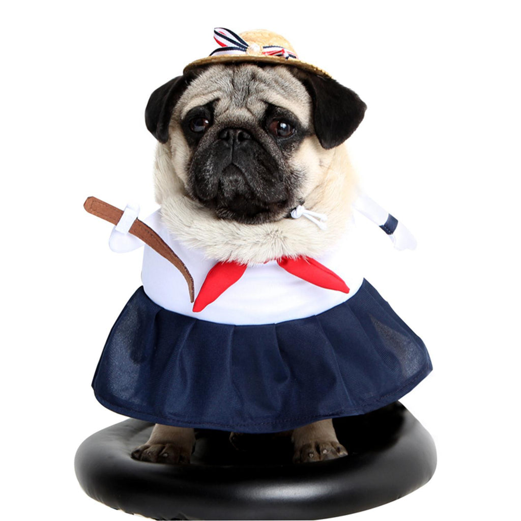 Pet Dog Costume